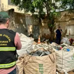 Fiscalização fecha ponto de reciclagem sob suspeita de receptação no Centro de Goiânia