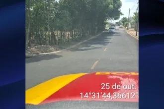 Força-tarefa monitora presença de onça no perímetro urbano de Uruaçu