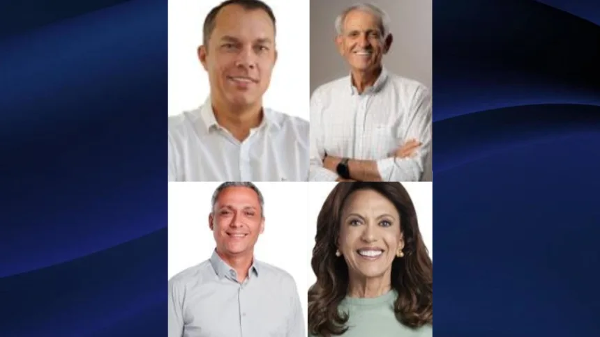 Goianésia coloca dois suplentes entre os eleitos para o Senado por Goiás