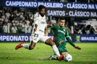 Palmeiras empata com o Santos e Flamengo ganha terreno no brasileirão