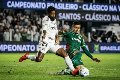 Palmeiras empata com o Santos e Flamengo ganha terreno no brasileirão